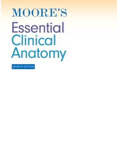 Moore's Essential Clinical Anatomy 2023