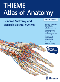 THIEME Atlas of Anatomy General Anatomy and Musculoskeletal System