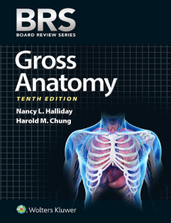 BRS Gross Anatomy 2023