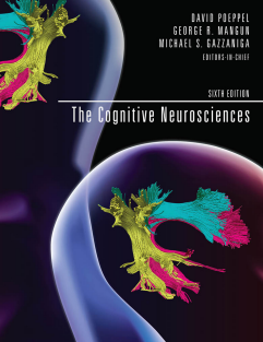 The Cognitive Neurosciences-MIT Press (2020)