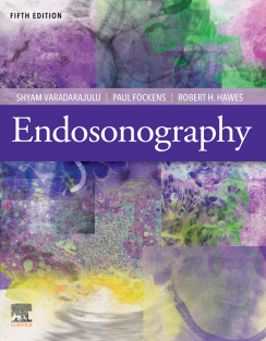 Endosonography 2022