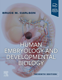 Human Embryology and Developmental Biology 7th Edition 2023