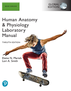 Human Anatomy & Physiology Laboratory Manual 12th edition