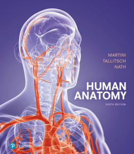 Human Anatomy 9th Edition