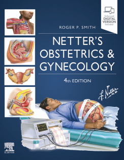 Netter's Obstetrics and Gynecology Netter Clinical Science 4th Edition