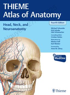 THIEME Atlas of Anatomy Head, Neck, and Neuroanatomy 4th Edition