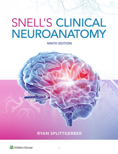 Snell's Clinical Neuroanatomy 2024