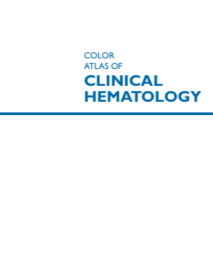Color Atlas of Clinical Hematology Molecular and Cellular Basis