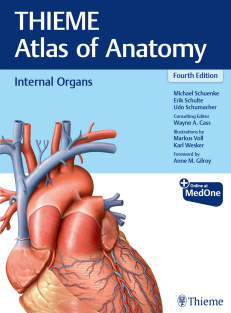THIEME Atlas of Anatomy-Internal Organs-4th Edition-2024