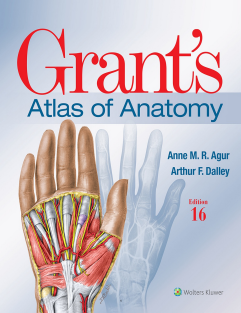 Grant's Atlas of Anatomy 2024