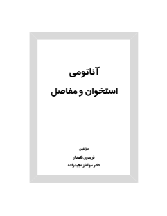 آناتومی استخوان نگهدار