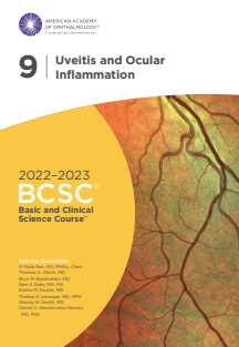 2022-2023 Basic and Clinical Science Course, Section 9 Uveitis a_nodrm