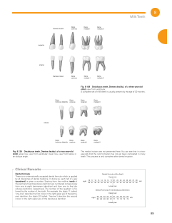 Sobotta Atlas of Anatomy, Vol. 3-2