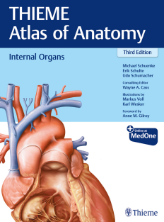 thieme Internal Organs 2020