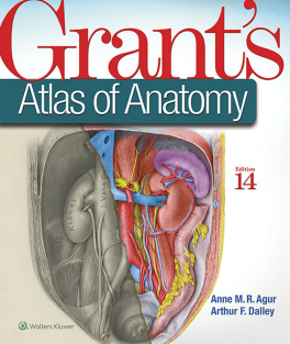 Grant s Atlas of Anatomy 