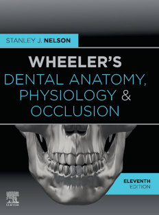 Wheeler's Dental Anatomy, Physiology and Occlusion, 11e