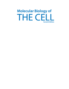 Molecular Biology of the Cell, 7e