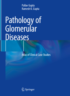 Pathology of Glomerular Diseases Atlas of Clinical Case Studies 2023