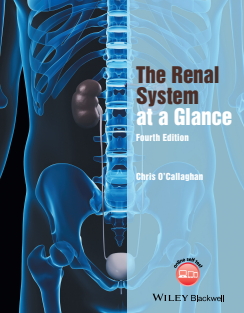 The Renal System at a Glance