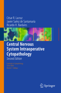 Central Nervous System Intraoperative Cytopathology (Essentials in Cytopathology Book 13) 2nd Edition