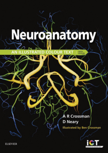 Neuroanatomy An Illustrated Colour Text