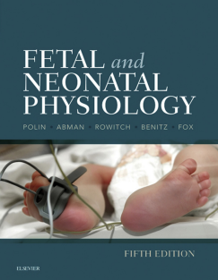 fetal and neonatal physiology vol 1