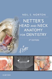 Netter's Head and Neck Anatomy for Dentistry 3rd Edition