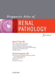 Diagnostic Atlas of Renal Pathology