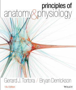 Principles of Anatomy and Physiology 