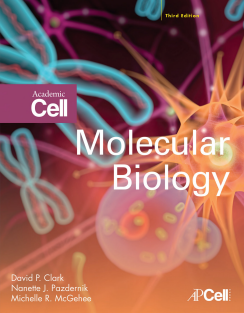 Molecular Biology 3rd Edition