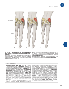 Sobotta Atlas of Anatomy, Vol.1-5