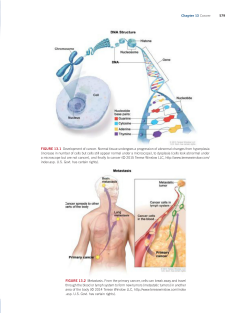 ACSM's Clinical Exercise Physiology-700_ACSM's_Clinical_Exercise_Physiology_by_American_College_of_Sports