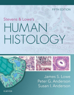 Stevens & Lowe's Human Histology 5th Edition