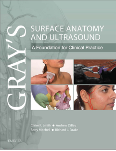 Gray’s Surface Anatomy and  Ultrasound a foundation for clinical practice