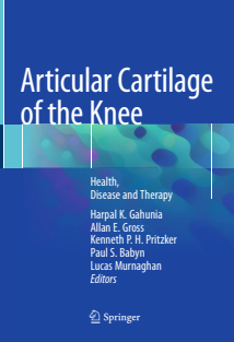 Articular Cartilage Of The Knee