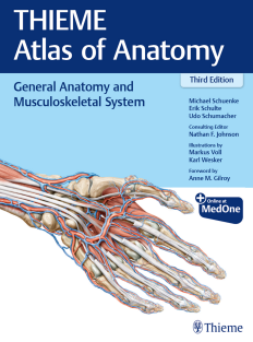 thieme General Anatomy and Musculoskeletal System