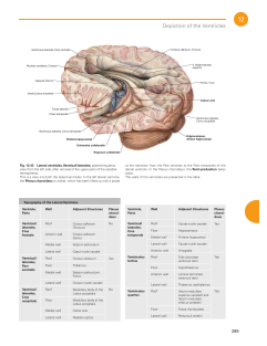 Sobotta Atlas of Anatomy, Vol. 3-4