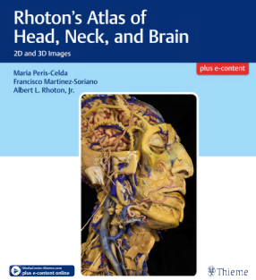 RRR-Maria Peris-Celda, Francisco Martinez-Soriano, Albert L. Rhoton - Rhoton’s Atlas of Head, Neck, and Brain_ 2D and 3D Images-Thieme (2017)