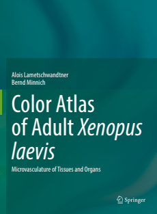 Color Atlas of Adult Xenopus laevis Microvasculature of Tissues and Organs 2023