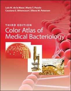 RRR-(ASM Books) Luis M. De La Maza, Marie T. Pezzlo, Cassiana E. Bittencourt - Color Atlas of Medical Bacteriology (ASM Books)-Wiley John + Sons (2020)