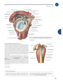 Sobotta Atlas of Anatomy, Vol.1-3