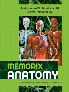 Memorix Anatomy E-book