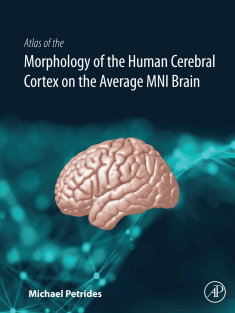 Atlas of the Morphology of the Human Cerebral Cortex on the Average mini Brain