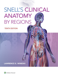 snell clinical anatomy by regions