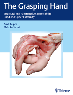 The Grasping Hand Structural and Functional Anatomy of the Hand and Upper Extremity