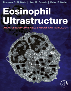 Eosinophil Ultrastructure Atlas of Eosinophil Cell Biology and Pathology 2022