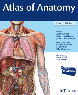 RRR-Anne M Gilroy, Brian R MacPherson, Jamie Wikenheiser, Michael Schuenke, Erik Schulte, Udo Schumacher - Atlas of Anatomy-Thieme (2020) (1)