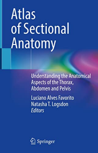 Atlas of Sectional Anatomy Understanding the Anatomical Aspects of the Thorax, Abdomen and Pelvis 1st ed 2022 Edition