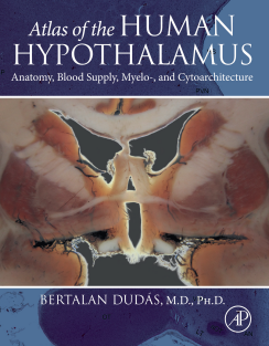 Atlas of the Human Hypothalamus Anatomy, Blood Supply, Myelo and Cytoarchitecture 1st Edition