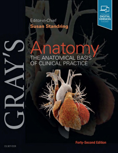 Gray's_Anatomy_The_Anatomical_Basis_of_Clinical_Practice_by_Standring